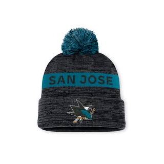 NHL AP Rink Beanie